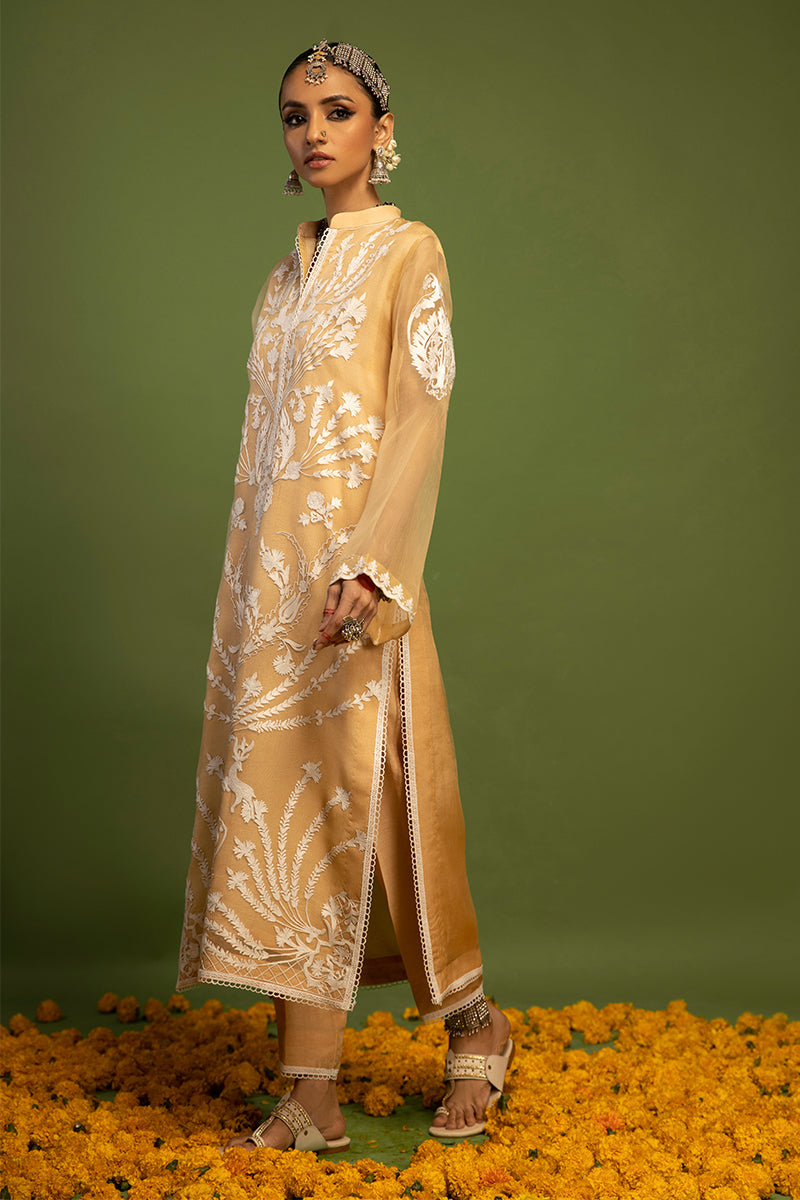 Wardha Saleem | Luxury Pret Traditional Wear | SHIKAR GAH - AARI WORK (2 PC)