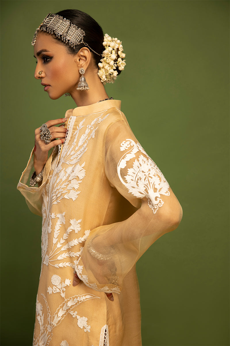 Wardha Saleem | Luxury Pret Traditional Wear | SHIKAR GAH - AARI WORK (2 PC)