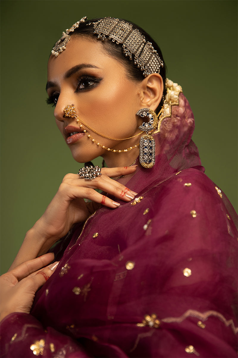Wardha Saleem | Luxury Pret Traditional Wear | SARAAB - PLUM HEAVY (2 PC)