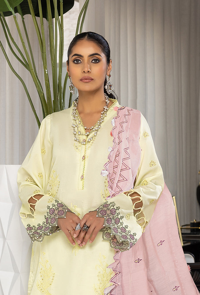 Humdum | Charlotte Chikankari Lawn | D06