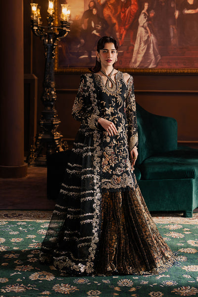 Afrozeh | Hayat Formals 25 | Sarave