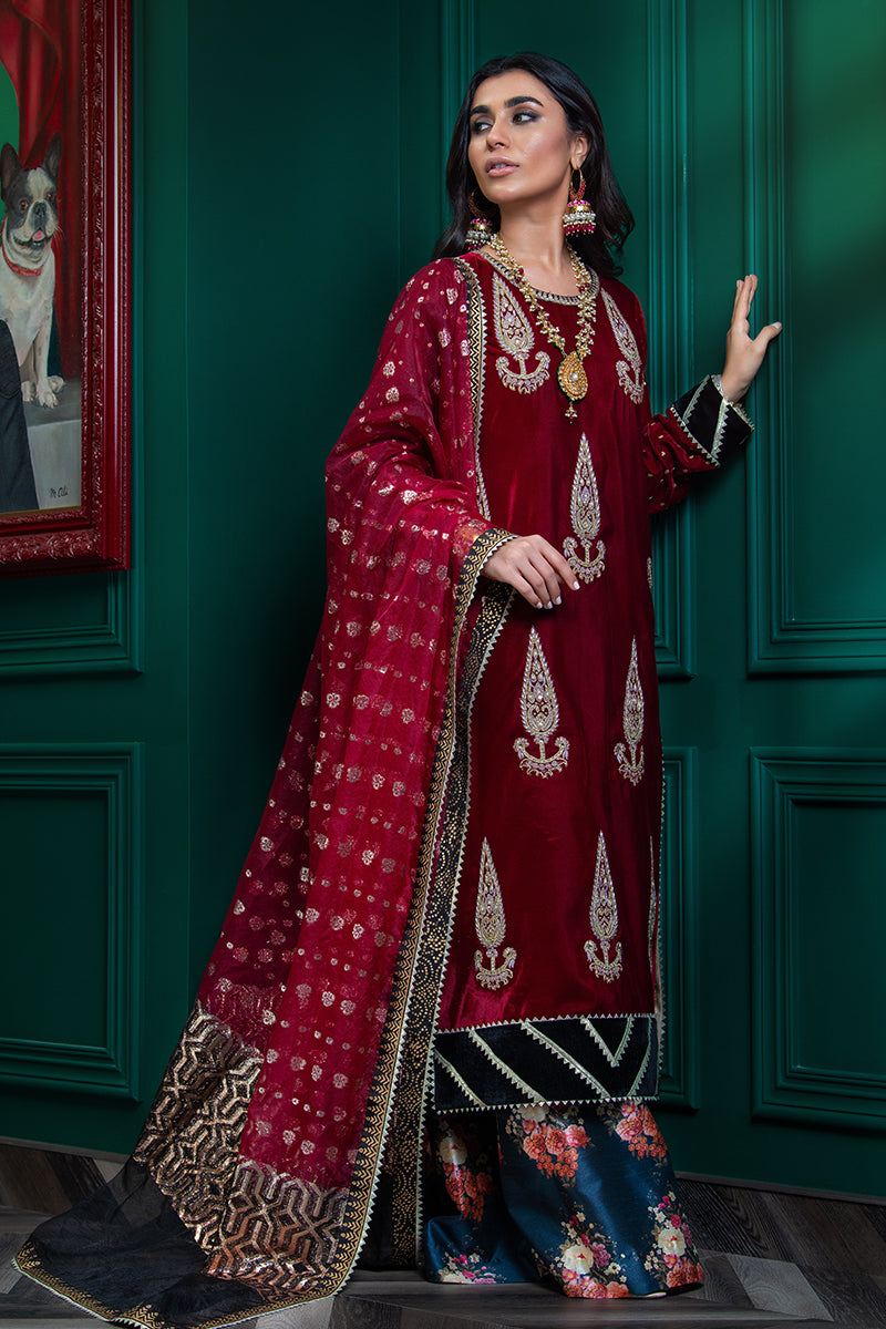 Wardha Saleem | Velvets Winter Fall 24 | Lal Bagh 2