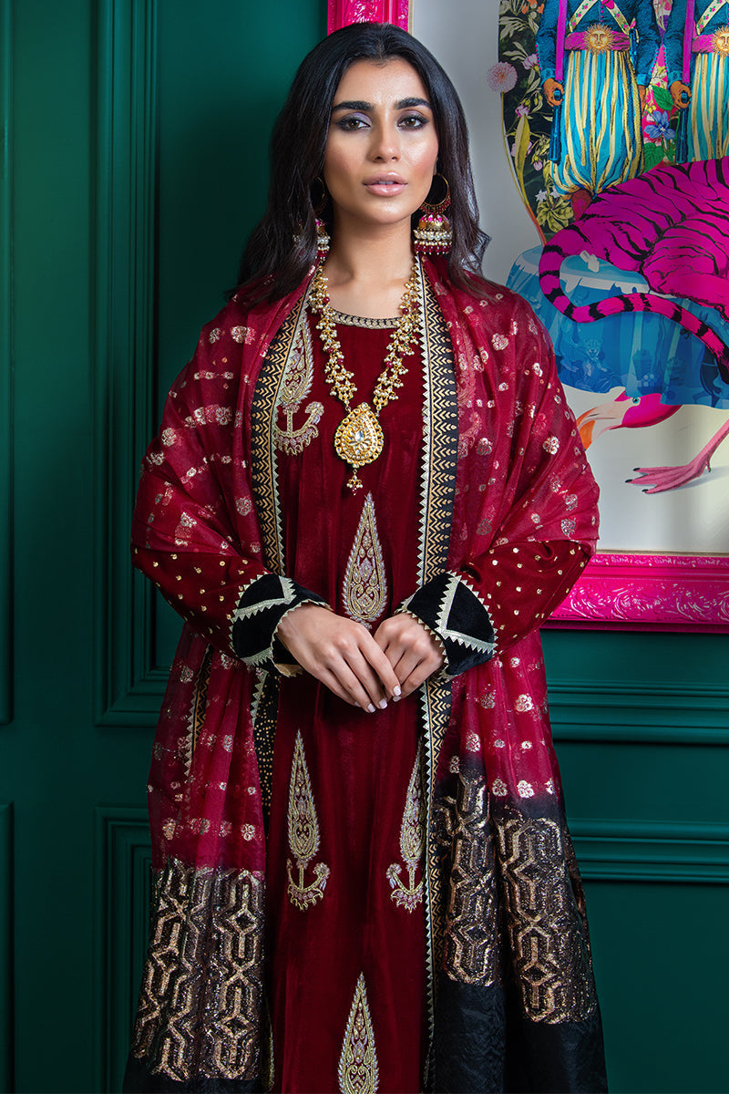 Wardha Saleem | Velvets Winter Fall 24 | Lal Bagh 2