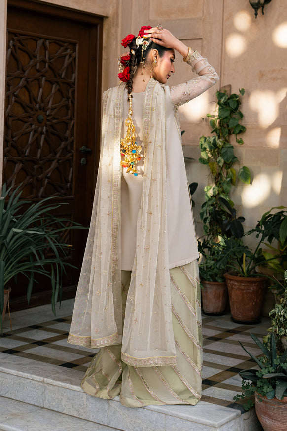 Naqshi | Tabeer Festive Dresses | Saaz