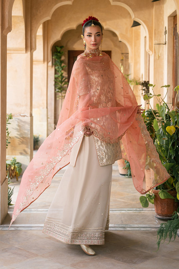 Naqshi | Tabeer Festive Dresses | Ablaaj