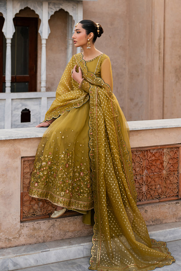 Naqshi | Tabeer Festive Dresses | Lehr