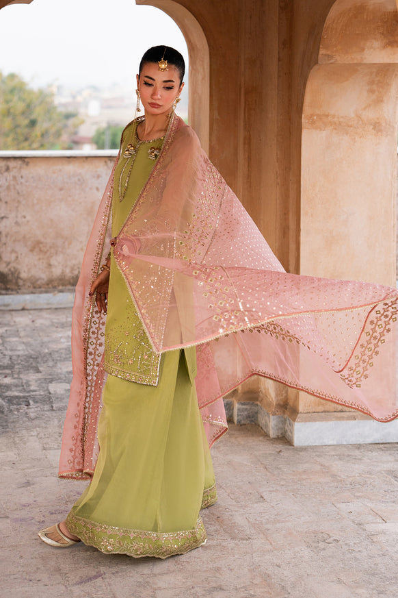 Naqshi | Tabeer Festive Dresses | Zaraan