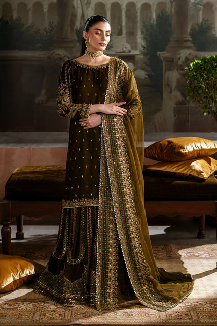 Naqshi | Nazleen Velvet | Danara