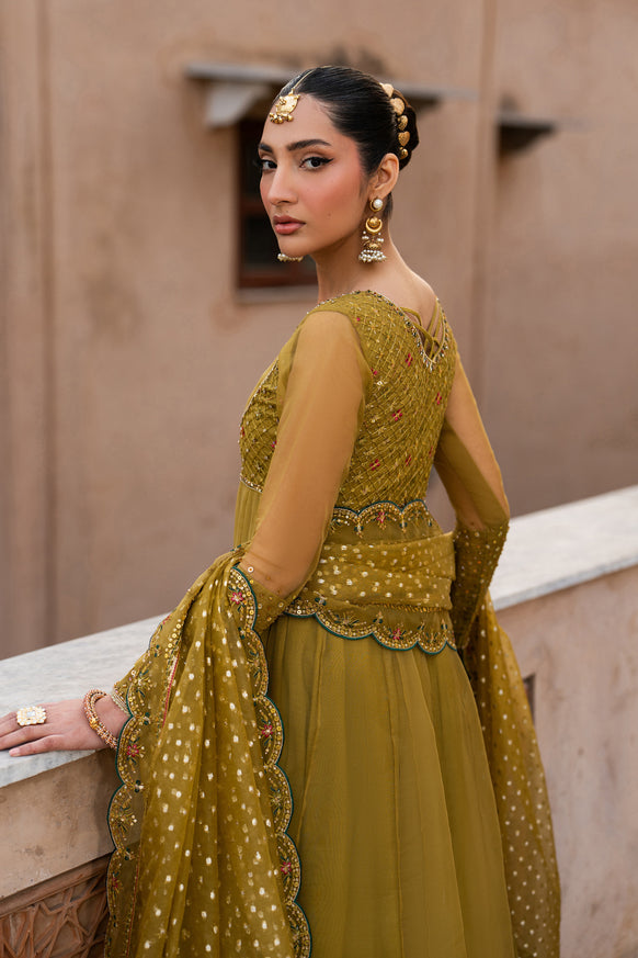Naqshi | Tabeer Festive Dresses | Lehr