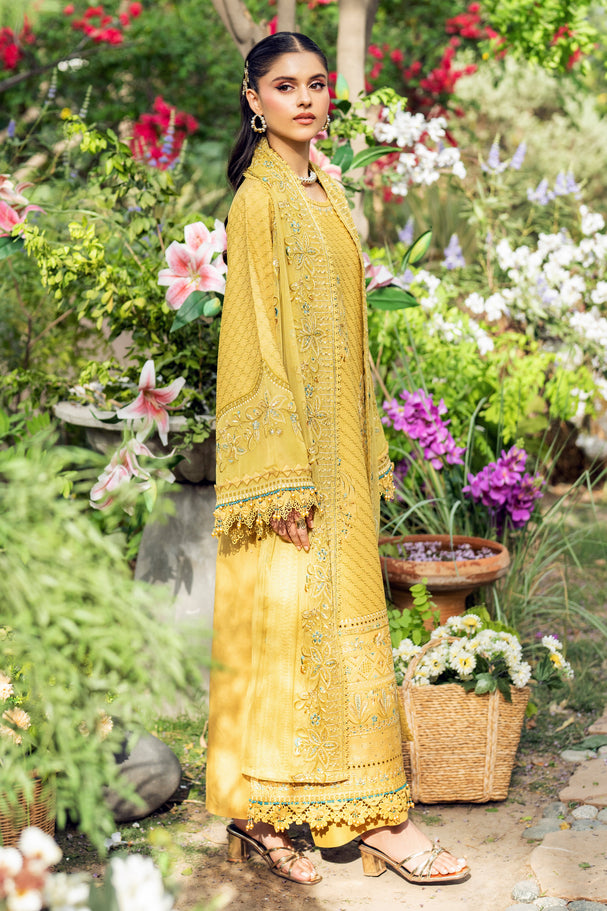 Naqshi | Festive Eid 26 | Shagufta