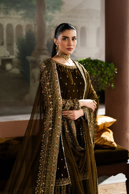 Naqshi | Nazleen Velvet | Danara