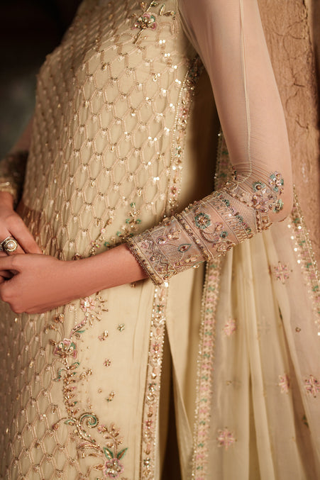 Naqshi | Kiraz Chiffon Collection | Adeena