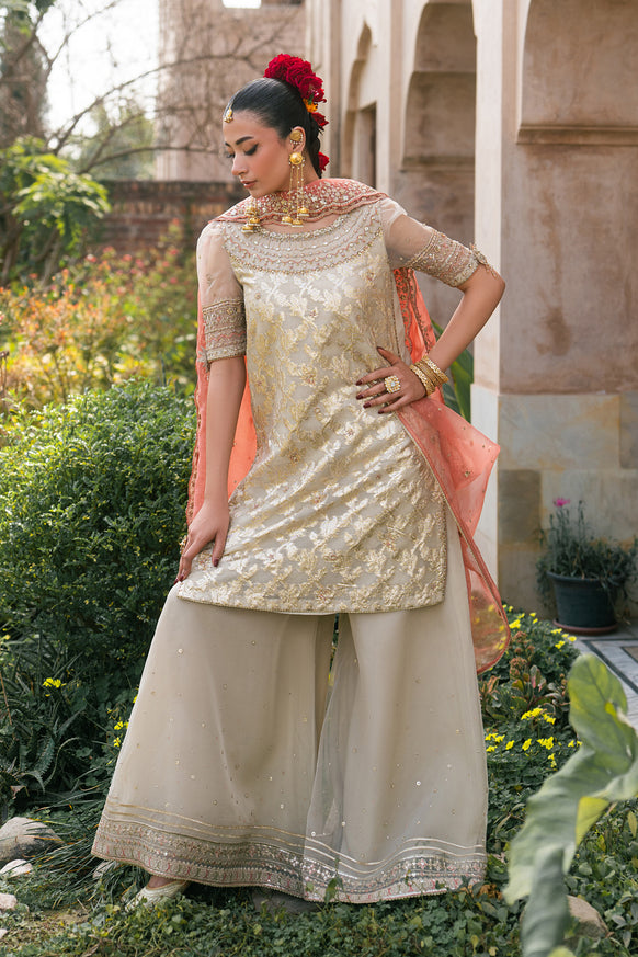 Naqshi | Tabeer Festive Dresses | Ablaaj
