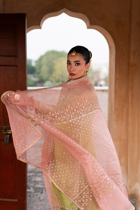 Naqshi | Tabeer Festive Dresses | Zaraan