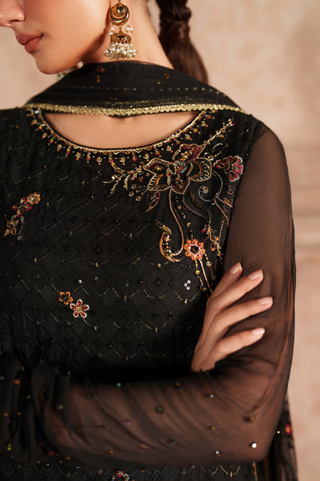 Naqshi | Kiraz Chiffon Collection | Hunaira