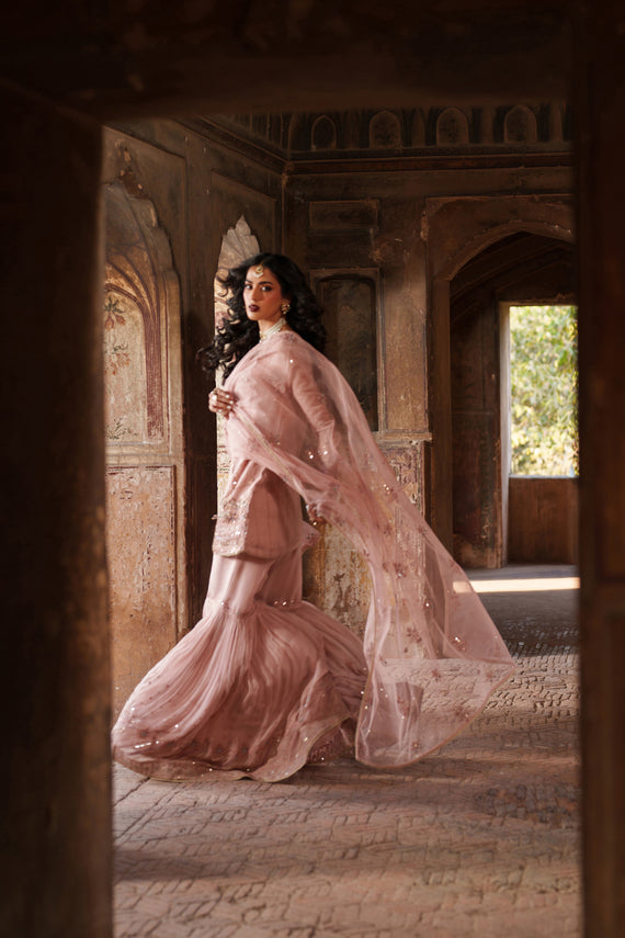 Naqshi | Kiraz Chiffon Collection | Zaria