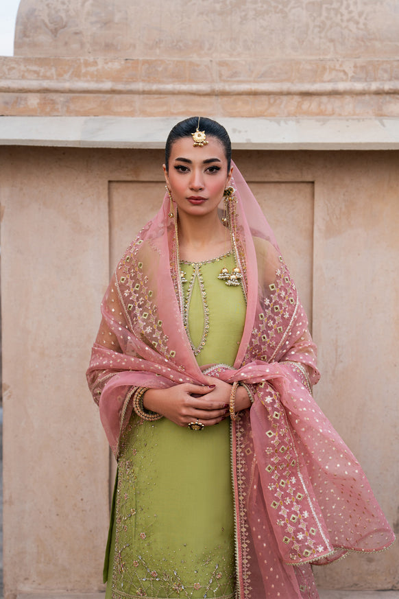 Naqshi | Tabeer Festive Dresses | Zaraan