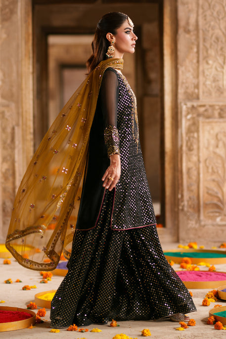 Naqshi | Zariah Crinkle Collection | Irra
