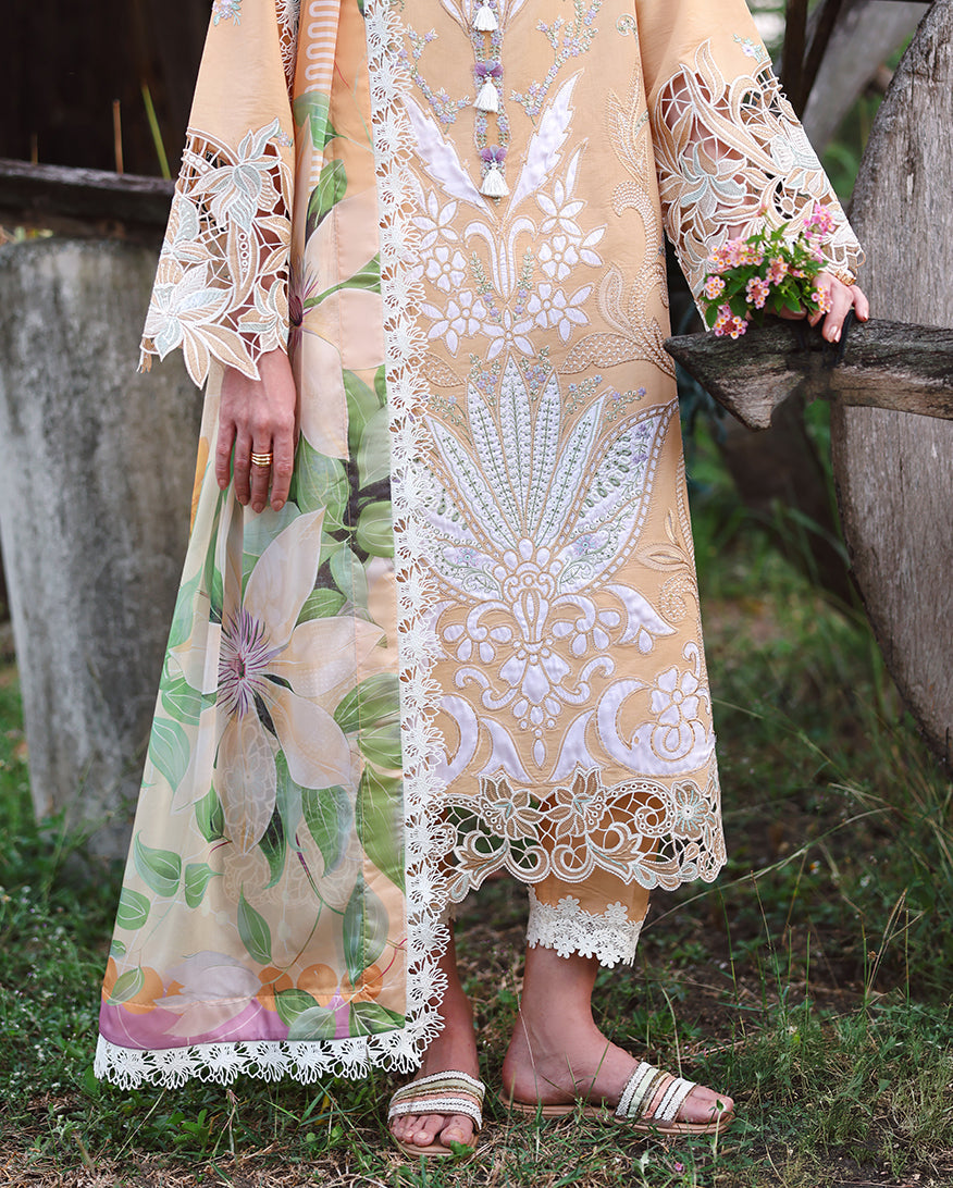 Mushq | The Secret Garden Lawn | Wisteria Veil