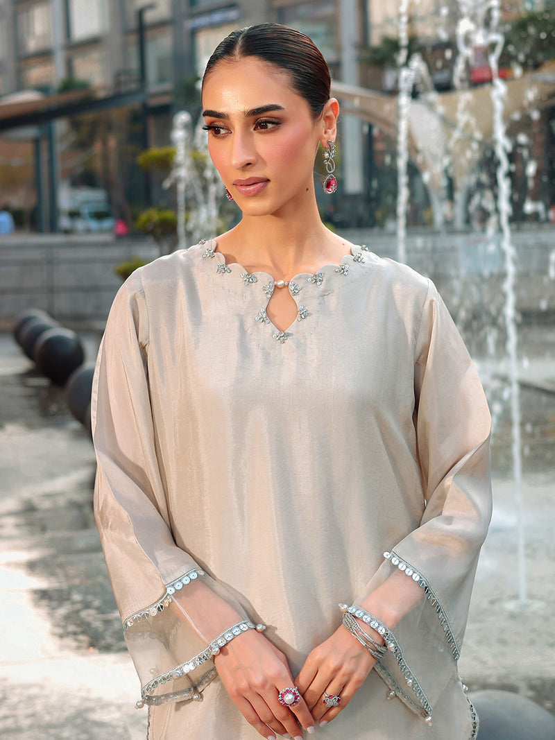 Ain | Raya Luxury Formals | AN-166 ZIRCON