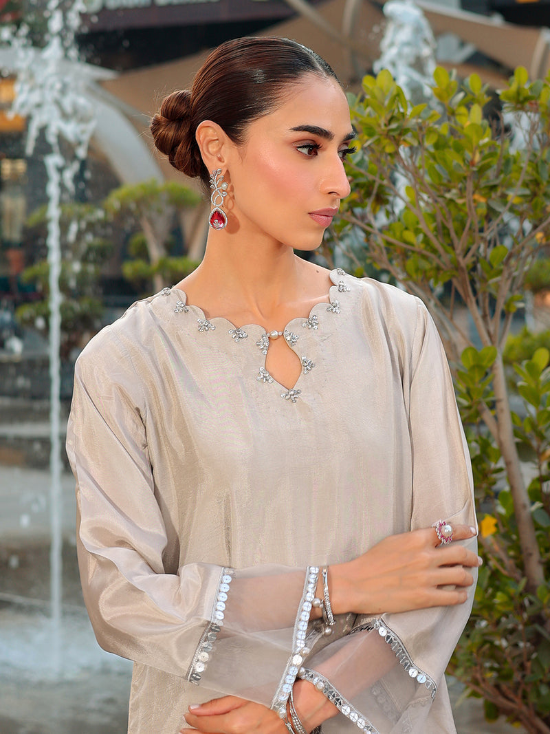 Ain | Raya Luxury Formals | AN-166 ZIRCON