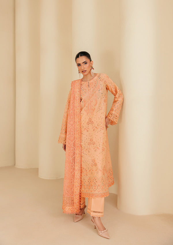 Aik Atelier | Lawn 26 | Look B2602B