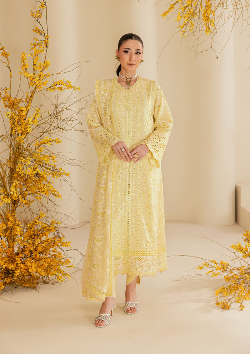 Aik Atelier | Lawn 26 | Look B2604A