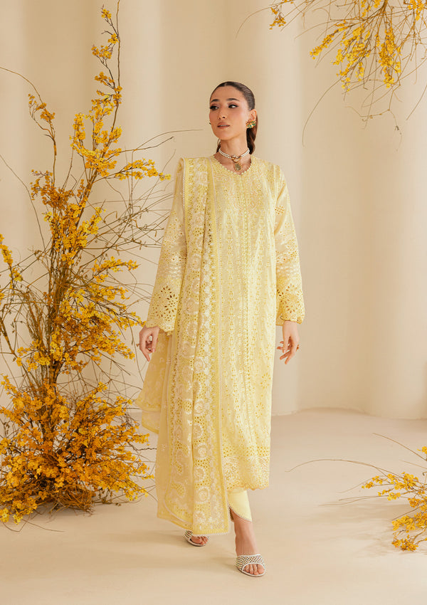 Aik Atelier | Lawn 26 | Look B2604A