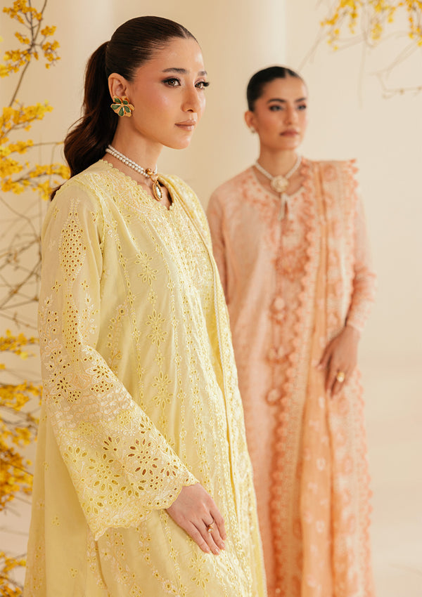 Aik Atelier | Lawn 26 | Look B2604A