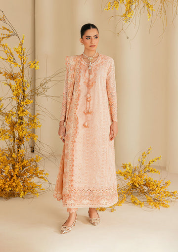 Aik Atelier | Lawn 26 | Look B2604B