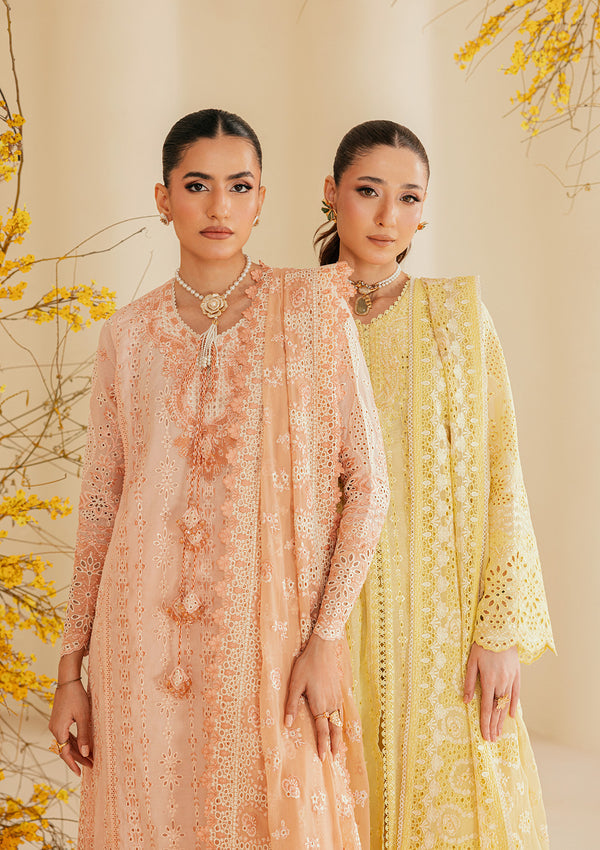 Aik Atelier | Lawn 26 | Look B2604B