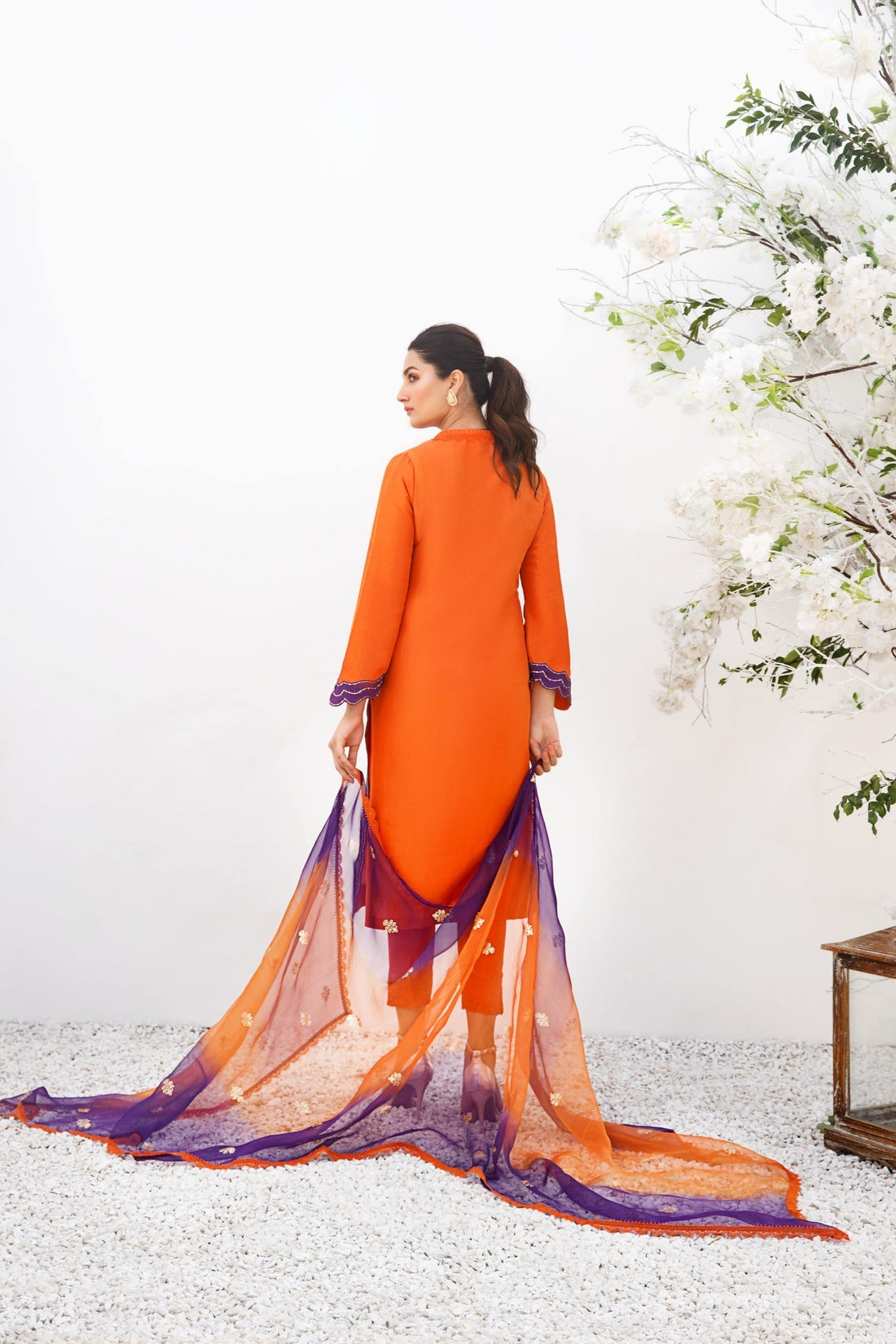 Anam Akhlaq | Festive Collection | D-19