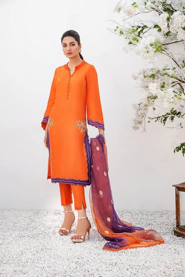 Anam Akhlaq | Festive Collection | D-19