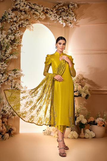 Anam Akhlaq | Festive Collection | D-34