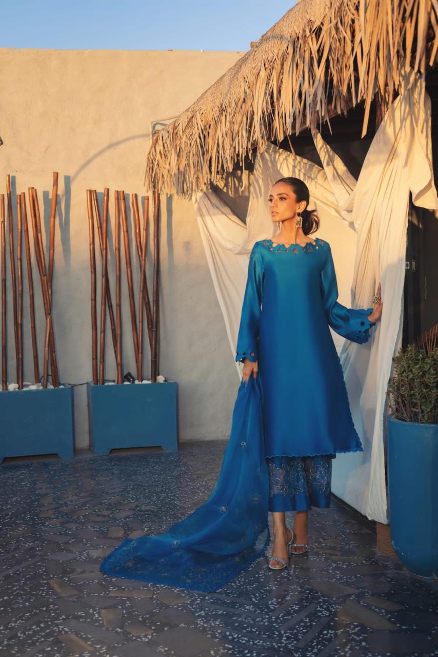 Anam Akhlaq | Festive Collection | D-50