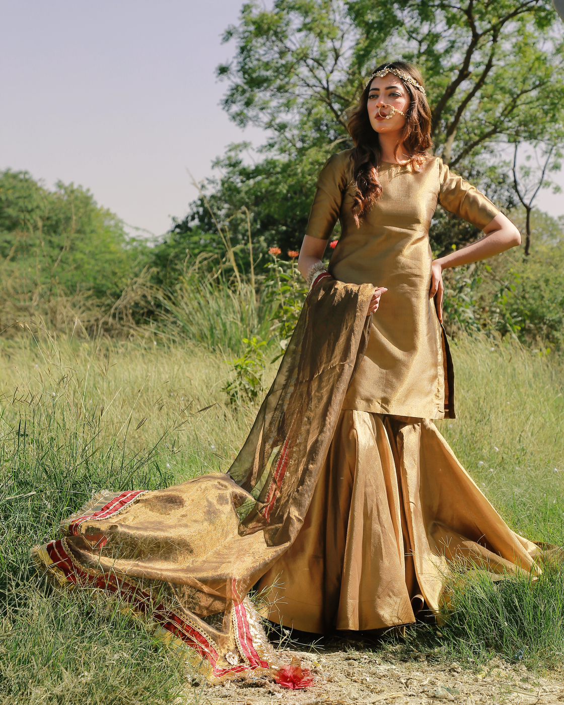 Zar | Gharara Formals | Brown