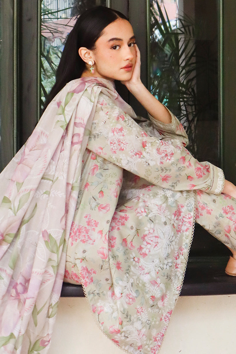 Cross Stitch | Printed Lawn | OLIVE AURA