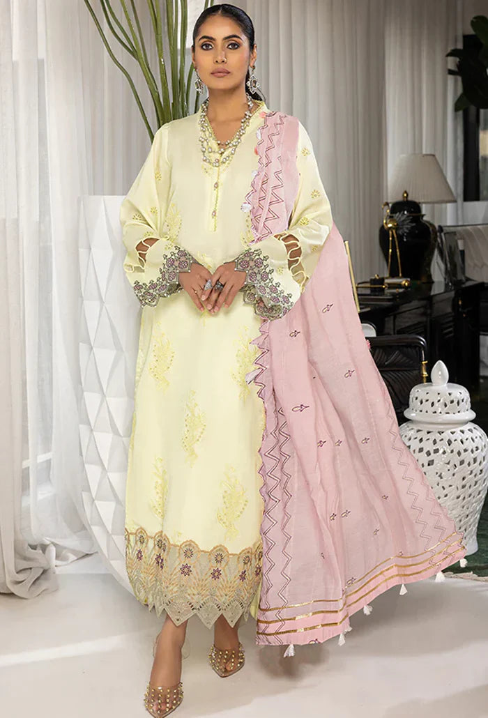 Humdum | Charlotte Chikankari Lawn | D06