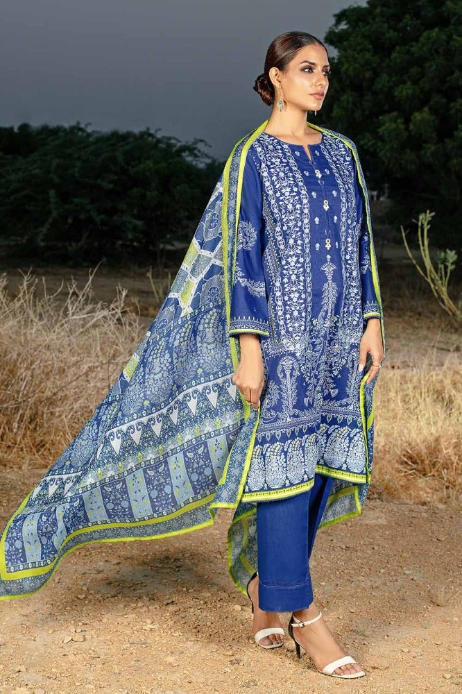 Gul Ahmed | Winter Collection 24 | Cotton Net Dupatta CD-32009