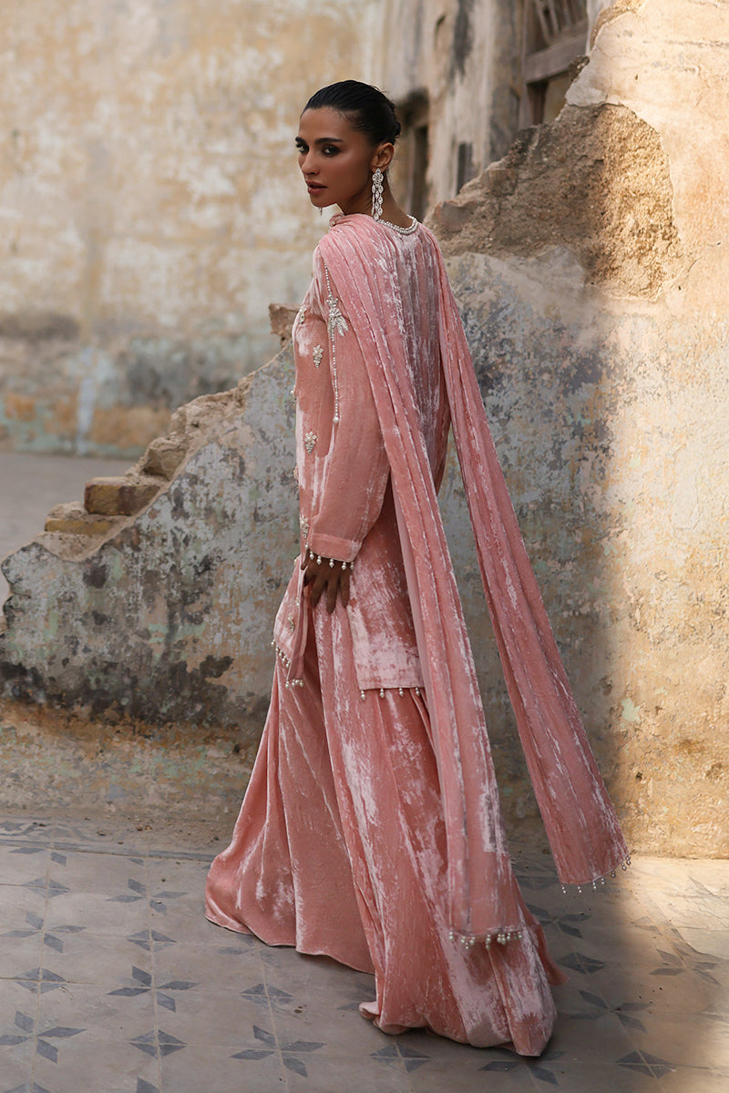 Wardha Saleem | Pure Velvet 25 | Zynia
