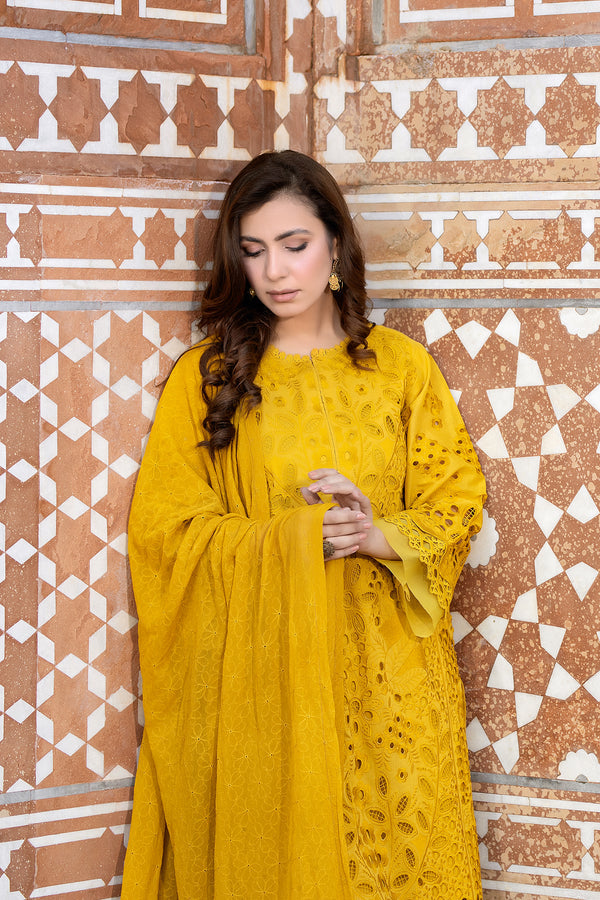 Johra | Rozeria Lawn | RZ - 151