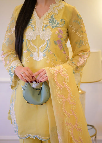 Saira Shakira | Rosea Casual Pret 25 | Dandelion Hues