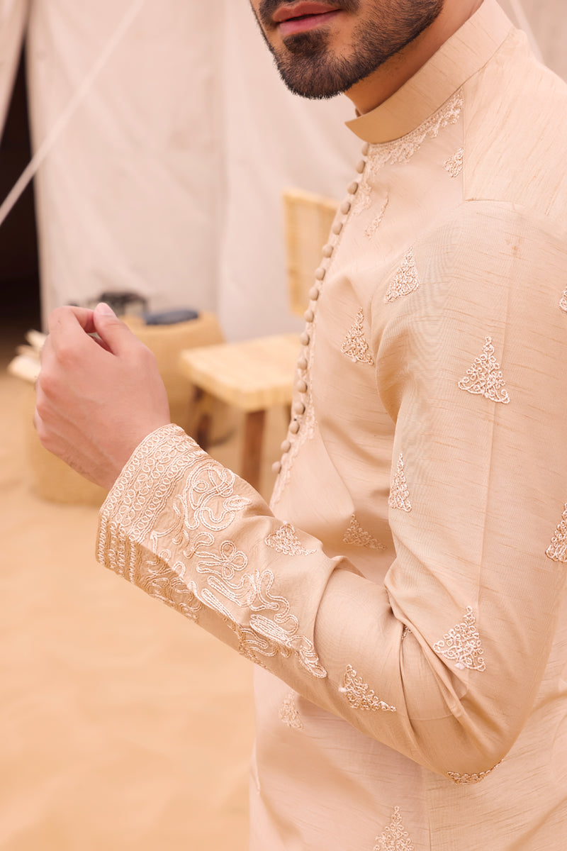 Pakistani Menswear | QAL-JS-02