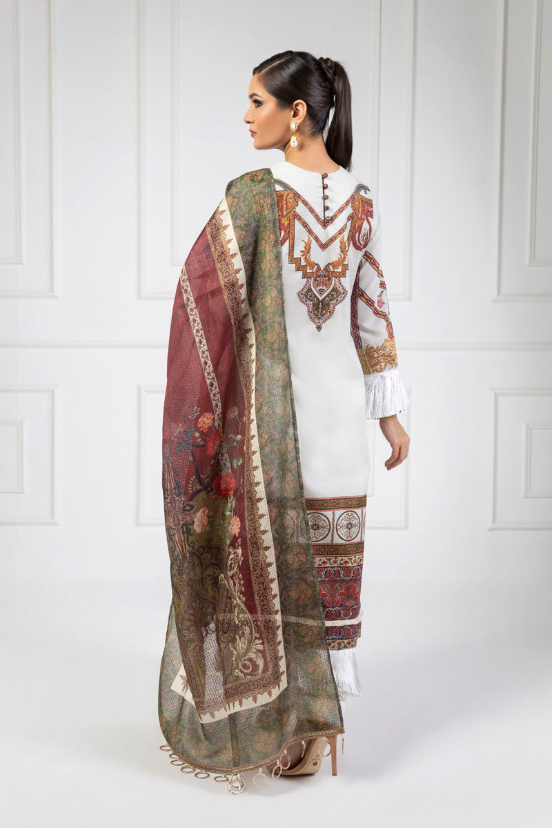 Shamaeel Ansari | Lawn 24 | LV11