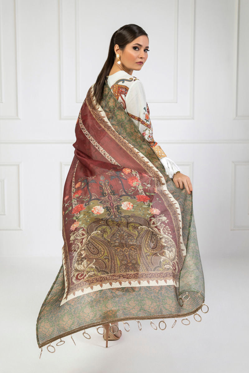 Shamaeel Ansari | Lawn 24 | LV11